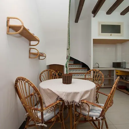 Apt Petxina Green Lloret de Mar